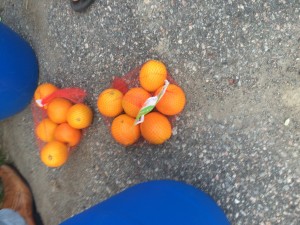 Oranges                